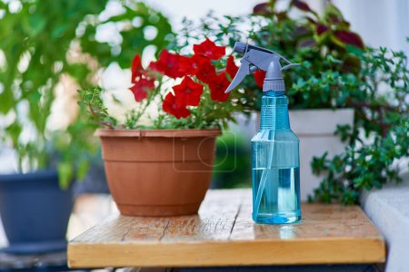 Foto de Maceta de petunia roja y botella de spray para regar plantas de balcón - Imagen libre de derechos