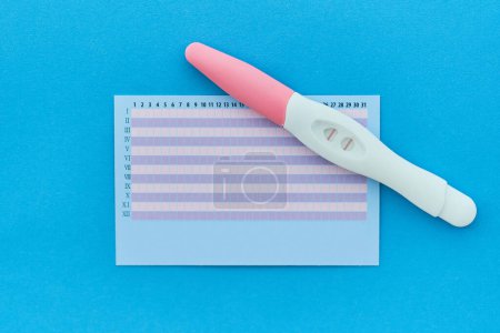 Foto de Prueba de embarazo positiva de dos rayas con calendario de periodo de ovulación sobre fondo azul - Imagen libre de derechos