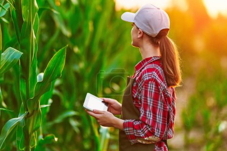 Photo for Smart woman farmer agronomist using digital tablet for examining and inspecting quality control of produce corn crop. Modern technologies in agriculture management and agribusiness - Royalty Free Image
