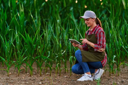 Téléchargez les photos : Femme agronome agronome intelligente utilisant une tablette numérique pour examiner et inspecter le contrôle de la qualité des cultures de maïs. Technologies modernes dans la gestion agricole et l'agro-industrie - en image libre de droit