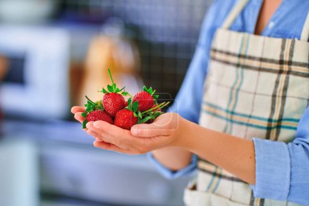 Photo for Female hands holding fresh ripe organic strawberries - Royalty Free Image
