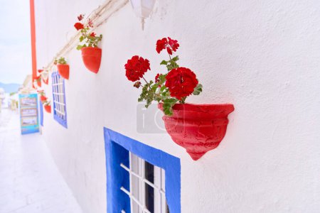 Téléchargez les photos : Maisons avec pots de fleurs rouges sur les murs blancs sur la rue égéenne à Bodrum, Turquie - en image libre de droit