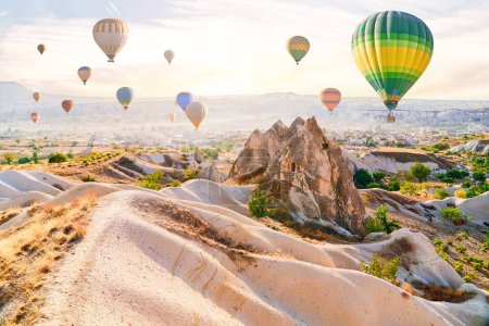 Photo for Landscape of scenic valley with colorful flying hot air balloons in Anatolia, Kapadokya. Beautiful destination in Nevsehir, Goreme - Royalty Free Image