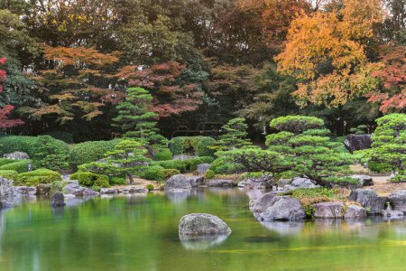 Photo for Fukuoka, kyushu - december 07 2021: Natural landscape depicting a Japanese garden in autumn with maple momiji trees overlooking pine trees surrounding a pond in the traditional Ohori garden in rain. - Royalty Free Image