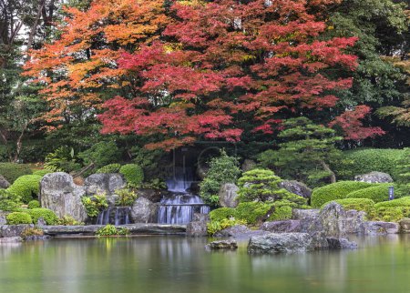 Foto de Fukuoka, kyushu - december 07 2022: Beautiful autumn landscape with red momiji maple trees in rain overlooking the Sandan-Ochi-no-Taki Waterfall in the Ue-no-Ike pond of the Japanese Ohori garden. - Imagen libre de derechos