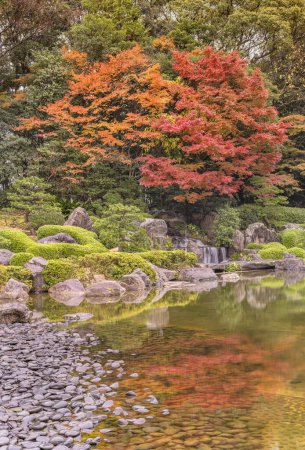 Photo for A serene autumn scene a rainy day unfolding as the rain-drenched pebble shoreline of Ohori Garden's Japanese traditional pond reflecting in water the momiji colors of the vibrant hues of maple trees. - Royalty Free Image