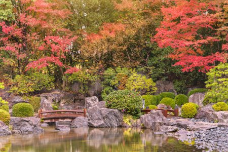 Photo for Fukuoka, kyushu - dec 07 2022: Wooden bridges crossing the Japanese Ohori Garden among a placid pond gracefully reflecting the vibrant colors of red momiji maples in autumn during a rainy day. - Royalty Free Image