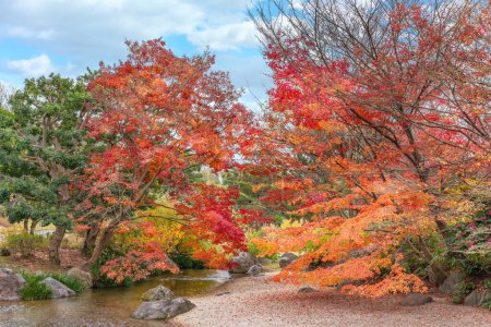 Foto de Paisaje de otoño japonés con vívidos arces momiji rojos y naranjas con vistas y rodeando un arroyo bajo un cielo azul en Japón. - Imagen libre de derechos