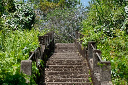 Photo for View of stone steps in the park in summer. - Royalty Free Image