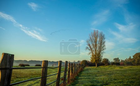 Photo for Scenic landscape in the early morning with wooden fence, grass, tree, lake and flock of birds in the blue sky - Royalty Free Image