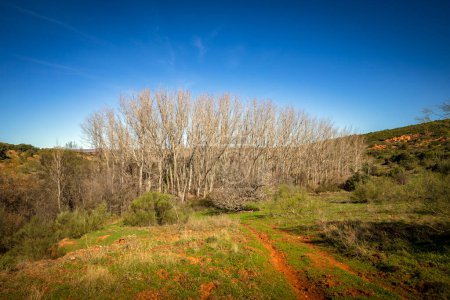 Paisaje en invierno con árboles en la zona del Estrecho del Hocino microreserve en Albacete, Castilla la Mancha, España
