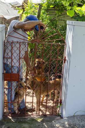 A man in blue stands at his backyard gate with one hand resting on the gate and the other touching his dogs as he looks down on them.