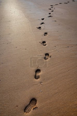 Téléchargez les photos : Ensemble unique d'empreintes dans le sable sur une plage en Irlande - en image libre de droit