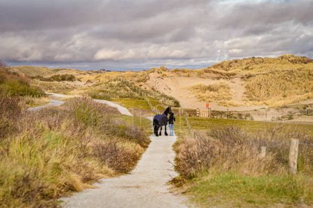 Photo for Walking with a horse  near the sea on the sand beach , Katwijk, Netherlands - Royalty Free Image