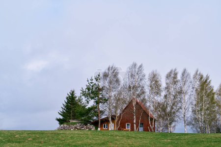 Téléchargez les photos : Maison confortable au milieu des arbres sur une prairie verte. Photo de haute qualité - en image libre de droit