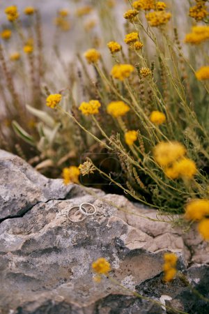 Foto de Los anillos de boda se encuentran en una piedra cerca de flores silvestres florecientes. Foto de alta calidad - Imagen libre de derechos