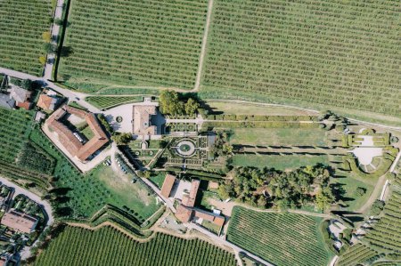 Green vineyards near Villa Rizzardi. Valpolicella, Italy. Drone. High quality photo