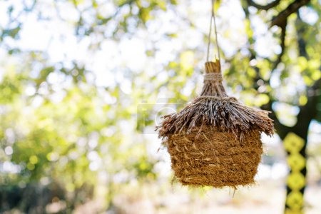 Wicker straw bird nest hanging on a rope on a tree in the park. High quality photo