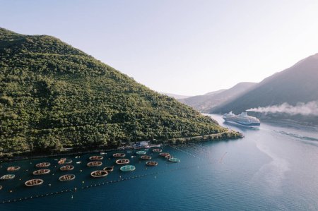 Cruise ship sails on the sea past an oyster farm at the foot of the mountains. Drone. High quality photo