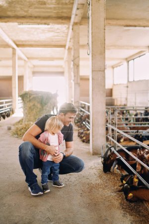 Papá se puso en cuclillas junto a una niña frente a un corral con cabras comiendo grano. Foto de alta calidad