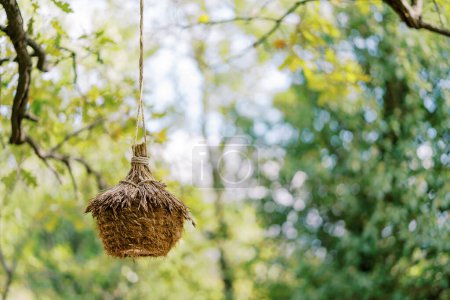 Round straw nest with a roof hanging on a rope on a tree branch in the park. High quality photo