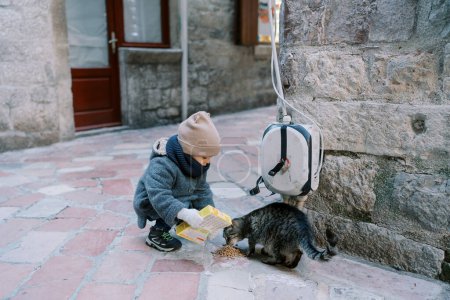 Little girl feeds a tabby cat on the street near the house, squatting. High quality photo