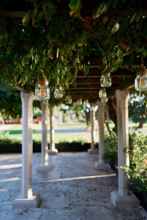 Lamps in glass jars hang from the beams of a long pillared pergola in a garden. High quality photo