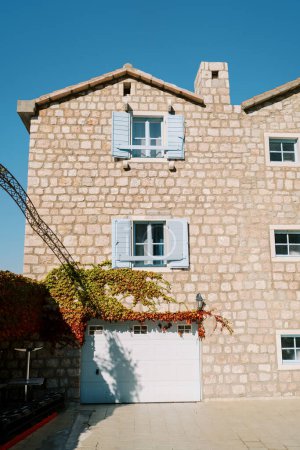 Stone three-story apartment building entwined with green and red ivy. High quality photo