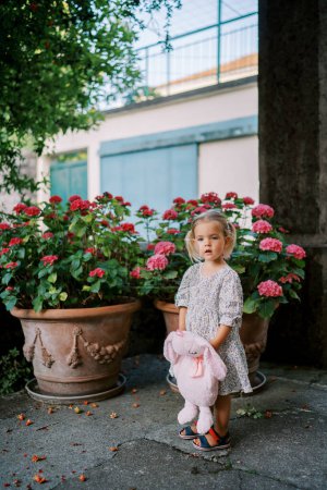 Foto de Niña con un conejo de juguete en sus manos se encuentra cerca de hortensias rosadas en ollas de barro en el patio. Foto de alta calidad - Imagen libre de derechos
