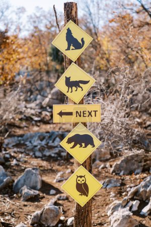 Diamond-shaped yellow signs with pictures of animals hang on a pole in the park next to the sign. Caption: Next. High quality photo
