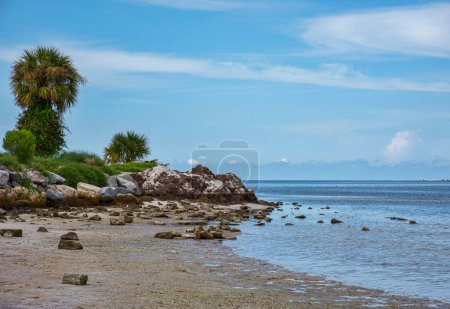 Foto de Costa de playa de Fred Howard Park, Florida y aguas del Golfo de México - Imagen libre de derechos