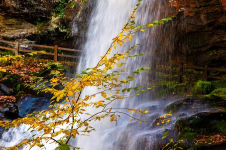 Téléchargez les photos : Dry Falls, également connu sous le nom de Upper Cullasaja Falls, est une cascade de 65 pieds située dans la forêt nationale de Nantahala, au nord-ouest de Highlands, en Caroline du Nord. - en image libre de droit