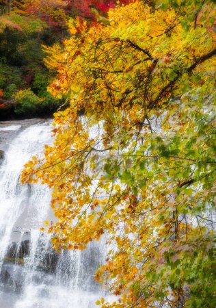 Photo for Rainbow Falls in Gorge National Park, Highlands,  North Carolina with Autumn Colors on Trees. - Royalty Free Image