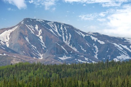 Photo for Remote Mountain Range with Evergreen Forest and Blue Skies in Alaska - Royalty Free Image