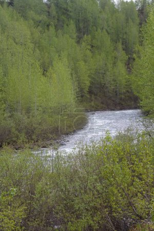 Remote river, flowing through the Alaska terrain with green vegetation on the borders.