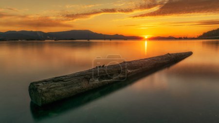 Photo for Vesuvius Beach is the best place to view a sunset on Salt Spring Island. - Royalty Free Image