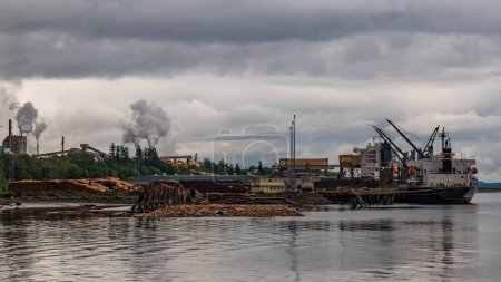 Photo for Ship alongside pulp and paper mill on Vancouver Island in Crofton, British Columbia, Canada - Royalty Free Image
