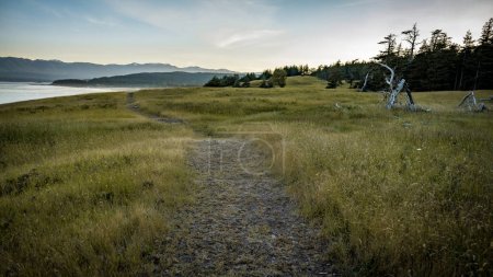 Foto de Sendero de hierba que conduce a la distancia en el Parque Provincial Helliwell en Hornby Island, Columbia Británica, Canadá. - Imagen libre de derechos