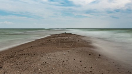 Photo for Caught this seagull sitting at the end of Point Peele in Point Peele Natoinal Park, Ontario, Canada. - Royalty Free Image