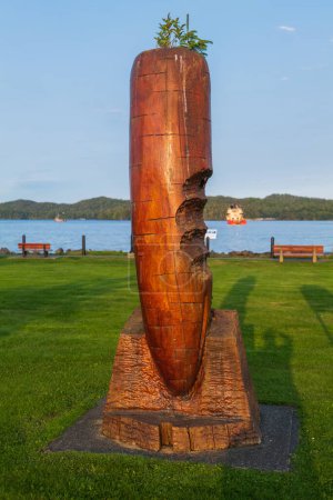 Foto de Carrot Park es un monumento único que recuerda los años para persuadir a la provincia de extender el camino hacia el extremo norte de la isla de Vancouver. - Imagen libre de derechos