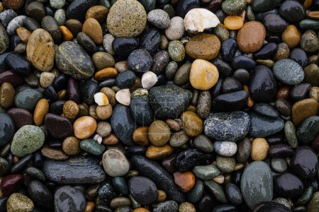 Photo for Amazing assortment of stones at Agate beach on Haida Gwaii, British Columbia, Canada. - Royalty Free Image