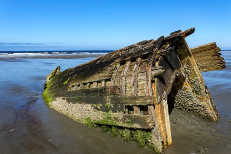 Photo for The Kelly Ruth Shipwreck on North Beach, Haida Gwaii, British Columbia, Canada. - Royalty Free Image
