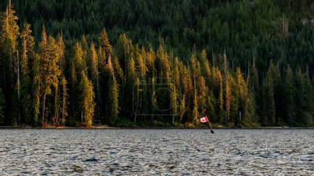 Photo for Kudo's to whoever put this flag up at Muchalat Lake on Vancouver Island, British Columbia, Canada - Royalty Free Image