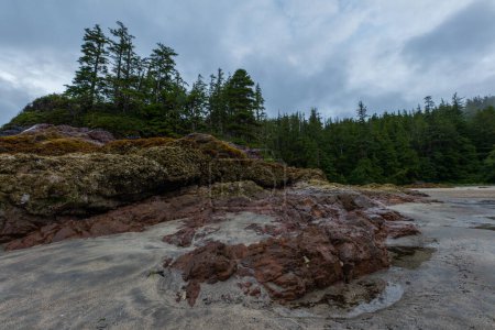 Foto de The shoreline of San Josef Bay, Vancouver Island, British Columbia, Canadá. - Imagen libre de derechos