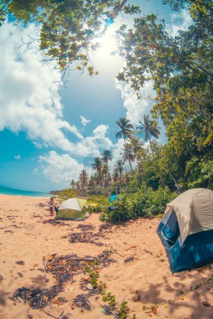 Foto de Camping en la playa con palmeras - Imagen libre de derechos