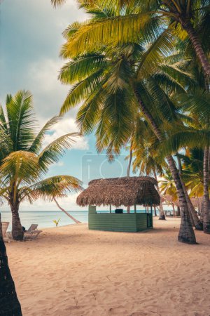 Paradise beach in the caribbean with wood house in the tropical world in dominican republic
