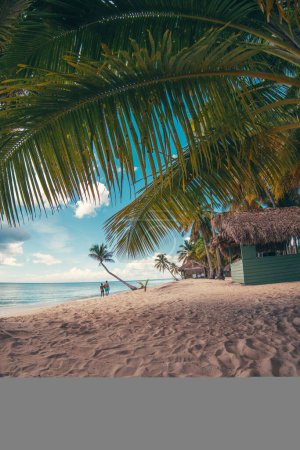Paradise beach in the caribbean with wood house in the tropical world in dominican republic