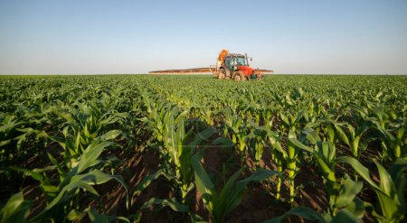 Traktor-Spray düngt Feld mit Insektiziden Herbizidchemikalien in der Landwirtschaft 