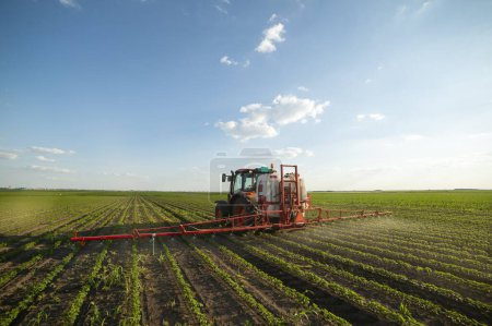 Photo for Tractor spraying pesticides at soy bean fields - Royalty Free Image