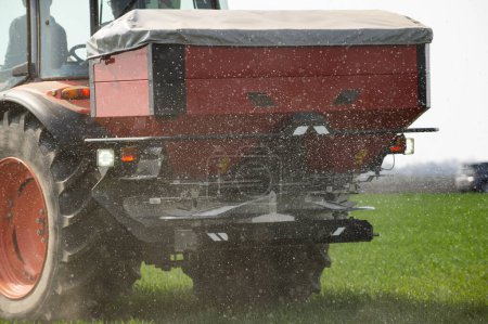 Traktor verteilt Kunstdünger im Weizenfeld. Verkehr, Landwirtschaft.